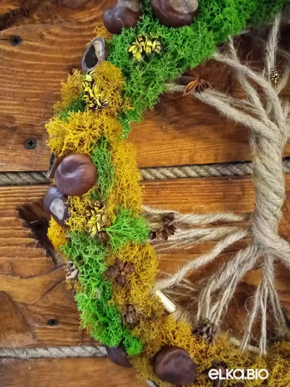 Подвесная композиция из каната Цикл жизни Б25-В54