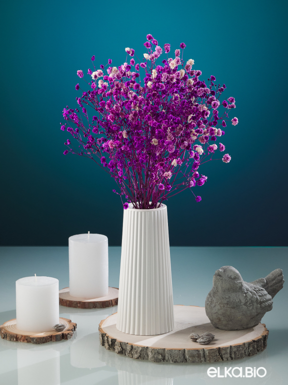 Гипсофила стабилизированная розово-фиолетовая 50 гр. высший сорт М179