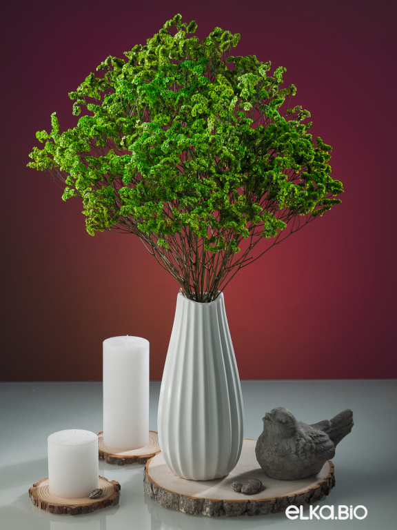 Цветы лимониума зелёные (80г) М217 Цветы лимониума зелёные (80г) М217