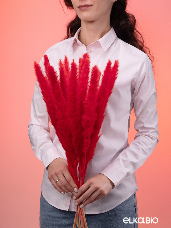 Трава сухоцвет пампас мини 90 шт. красный первый сорт