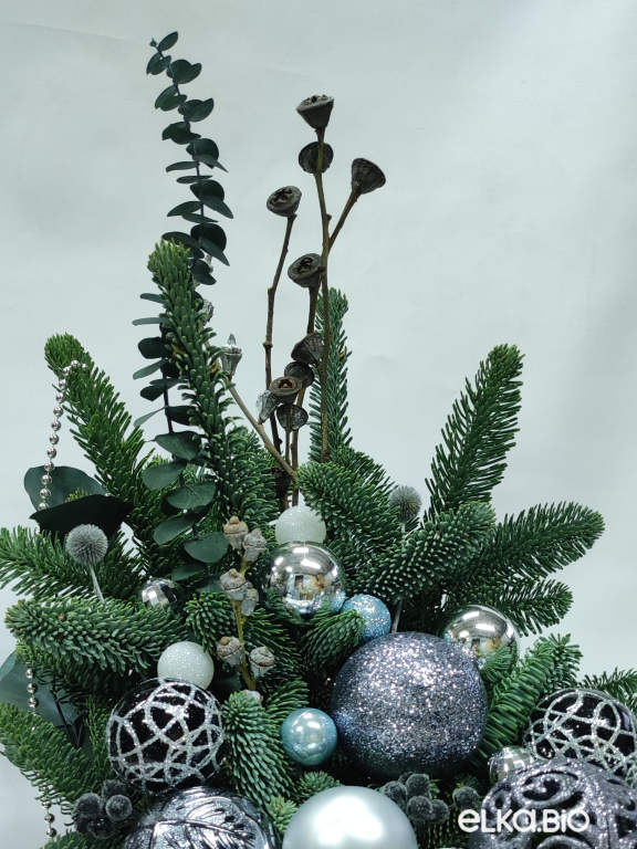 Композиция из пихты Нобилис Волшебная ночь Я2