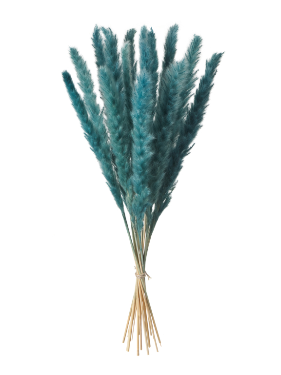 Трава сухоцвет пампас мини 90 шт. серо-малахитовый первый сорт