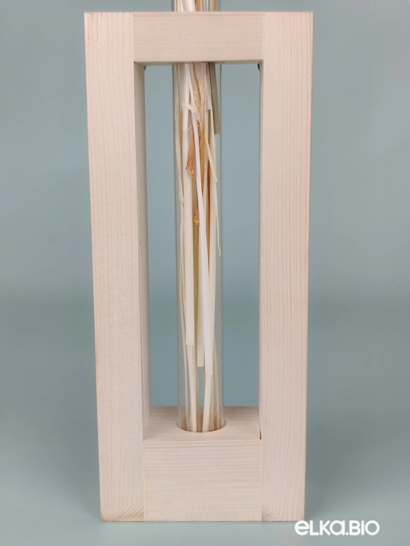 Композиция в колбе из белых сухоцветов А160-B106