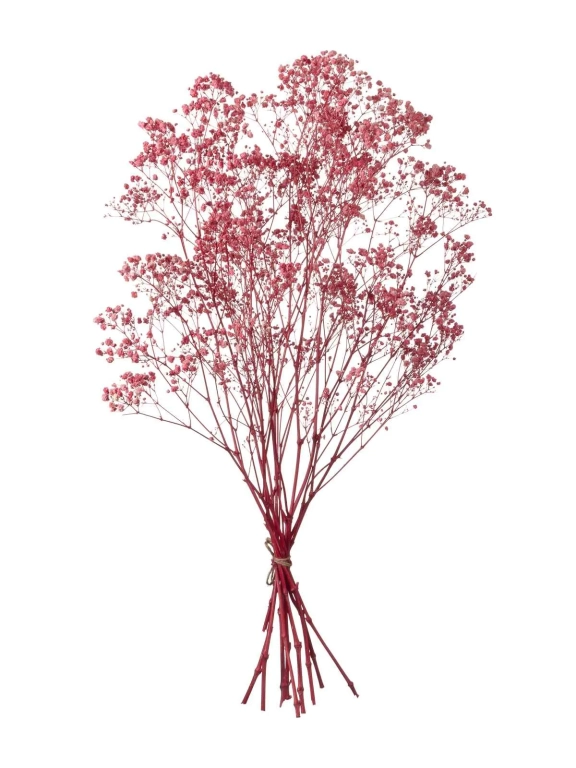 Гипсофила стабилизированная розовая 550 гр. первый сорт М5052