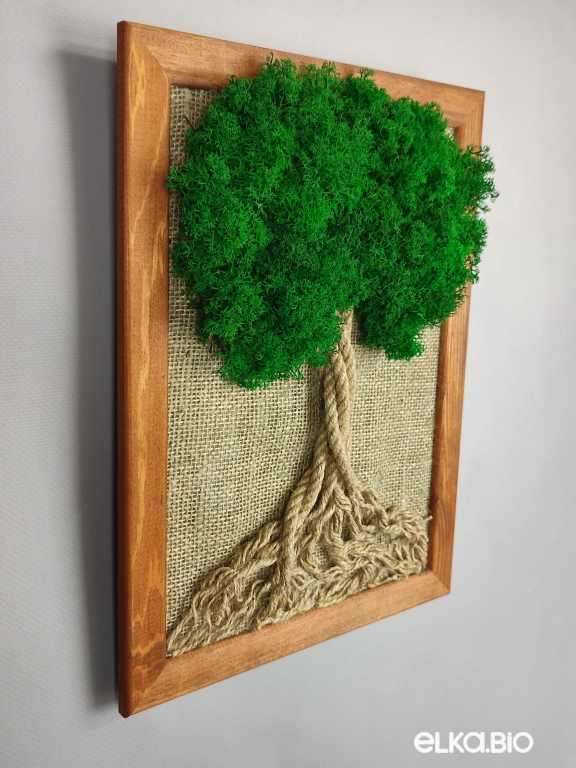 Панно на стену из зеленого мха и каната А134-B105