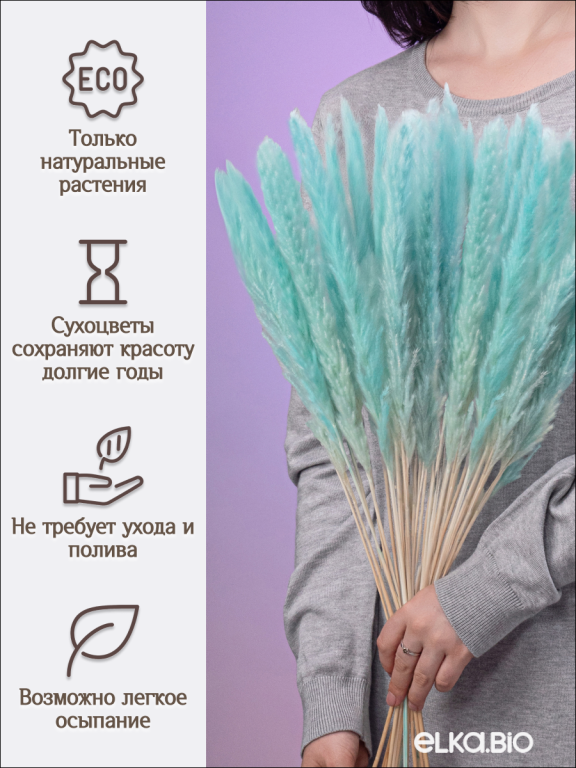 Пампас мини светло-бизюзовый 45 шт. Высший сорт М273