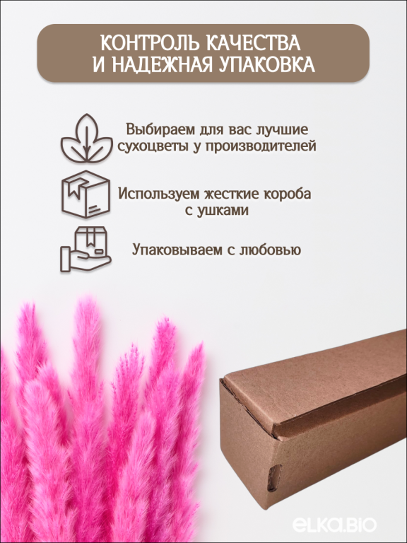Пампас мини фуксия 15 шт. Высший сорт. Высота 40-50 см. М135