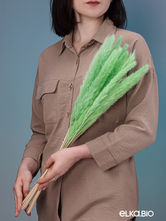 Трава сухоцвет пампас мини 90 шт. салатовый первый сорт