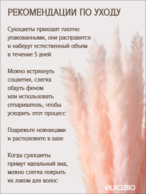 Пампас мини светло-розовый 45 шт. Высший сорт М269