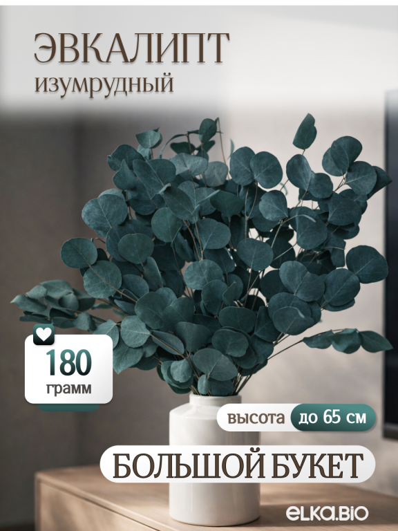 Эвкалипт Популус изумрудный 180г Высший сорт М689
