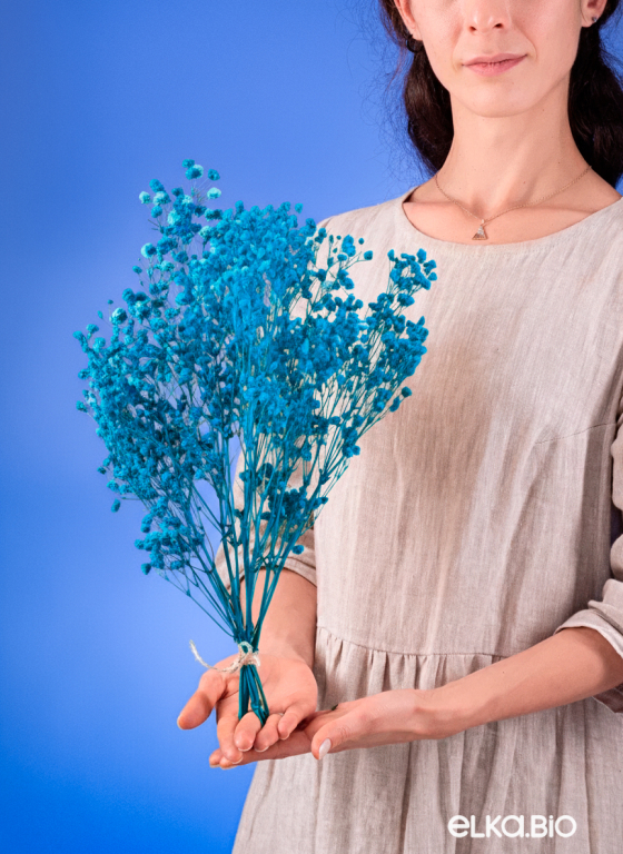 Гипсофила ярко-бирюзовая 50г.  Высший сорт - стабилизированная М627