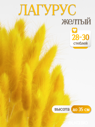 Лагурус жёлтый 30 шт. Высший сорт. Высота 25-35 см М474