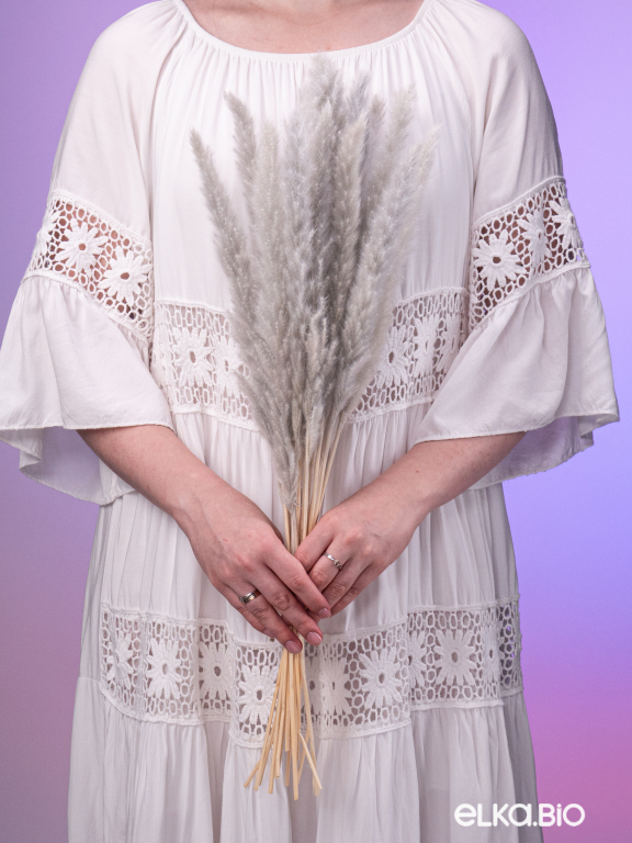 Трава сухоцвет пампас мини 15 шт. серый высший сорт