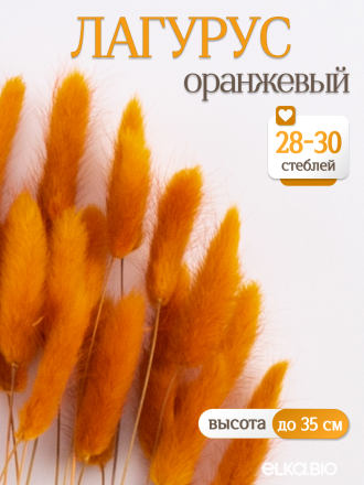 Лагурус оранжевый 30 шт. Высший сорт. Высота 25-35 см М478