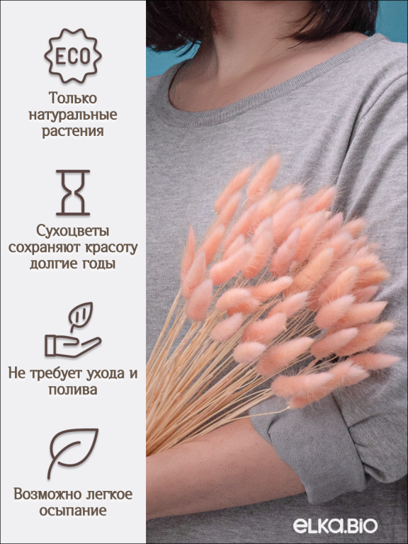 Лагурус светло-розовый 60 шт. Высший сорт. Высота 25-35 см. Высота 25-35 см М233