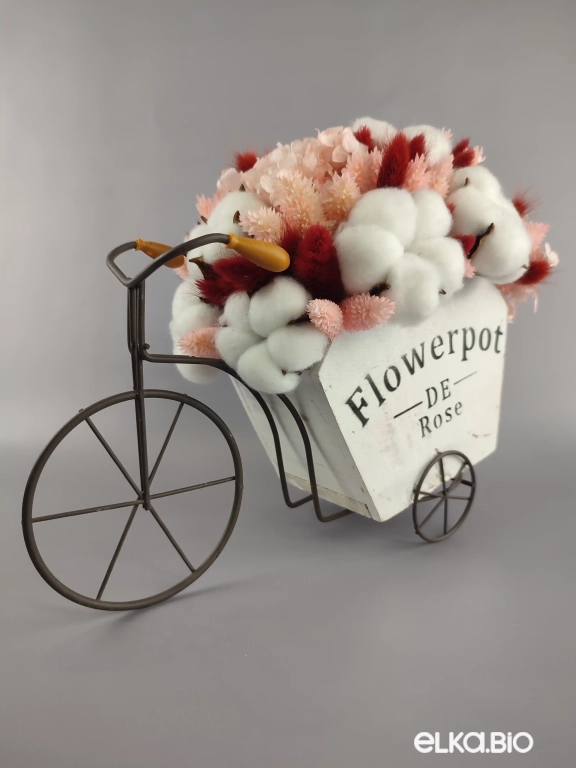 Велосипед с цветами лагуруса, фаляриса и цветками хлопка А99-B100