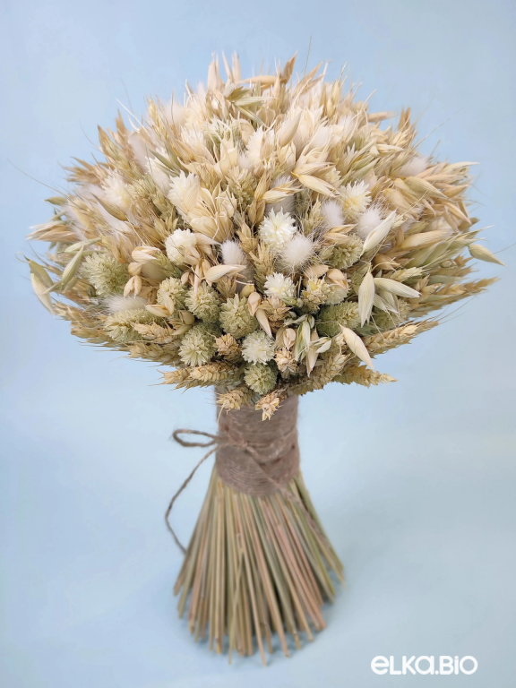 Букет из колосьев Т251-B113