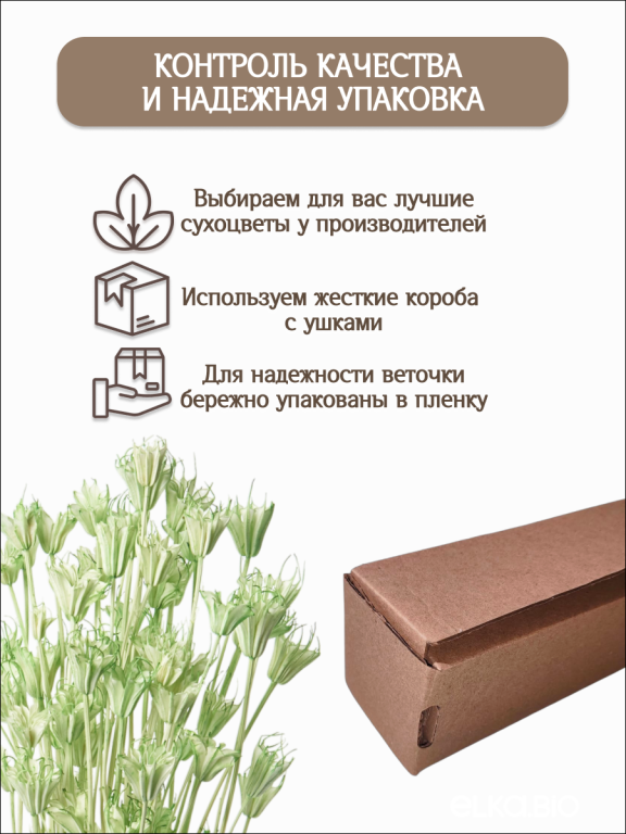 Нигелла светло - зеленая 50г. Высший сорт. Высота 40-55 см. М405