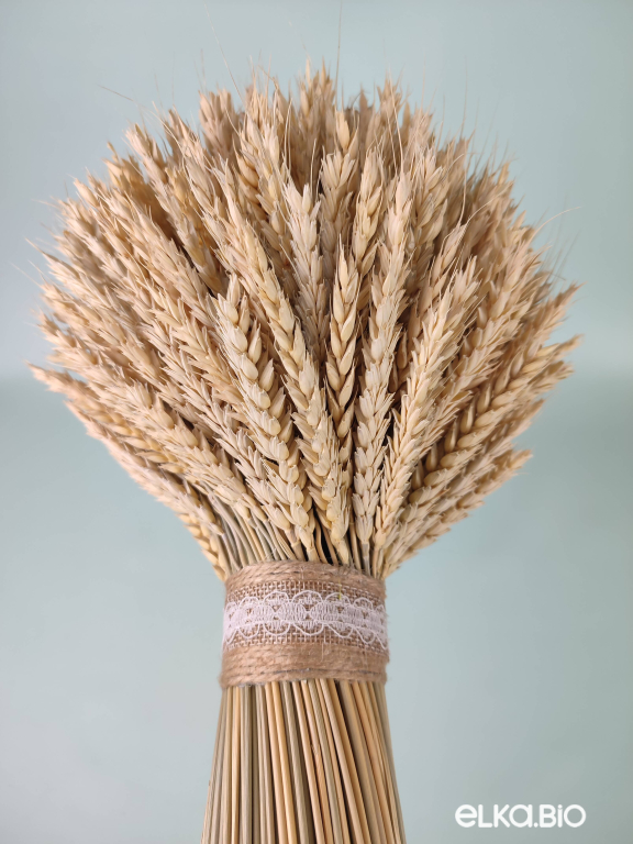 Декоративный сноп пшеницы Б91-B110