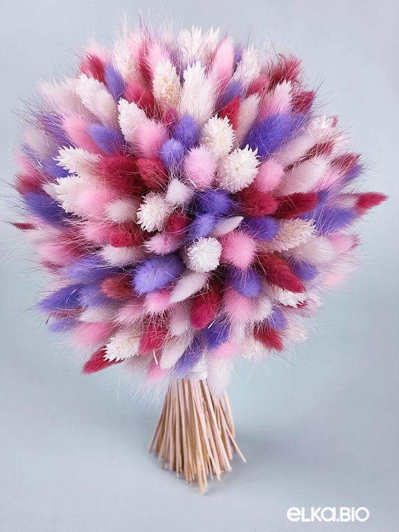 Букет из разноцветного лагуруса Т194-B107