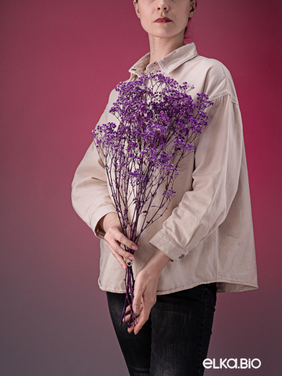 Гипсофила стабилизированная сиреневая 550 гр. первый сорт М5166