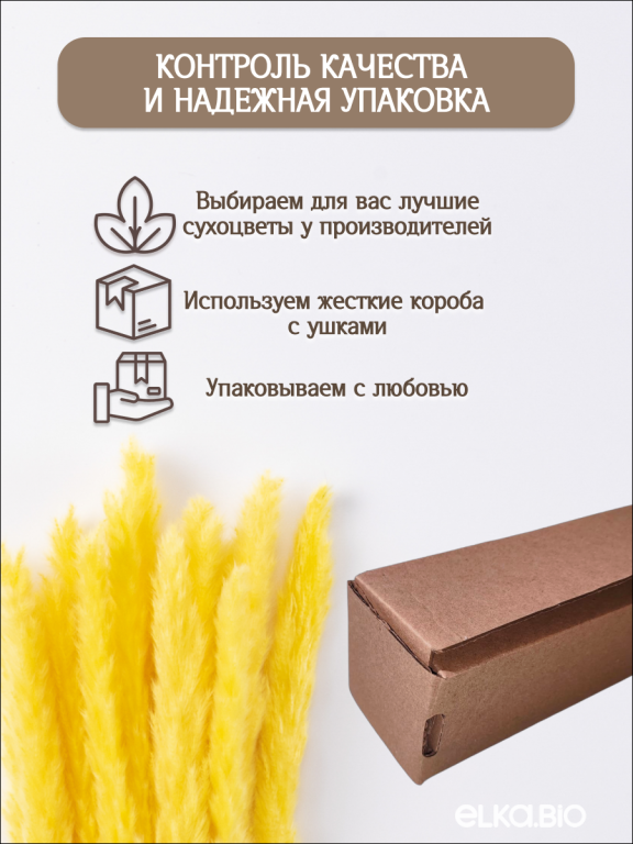 Пампас мини желтый 45 шт. Высший сорт М266