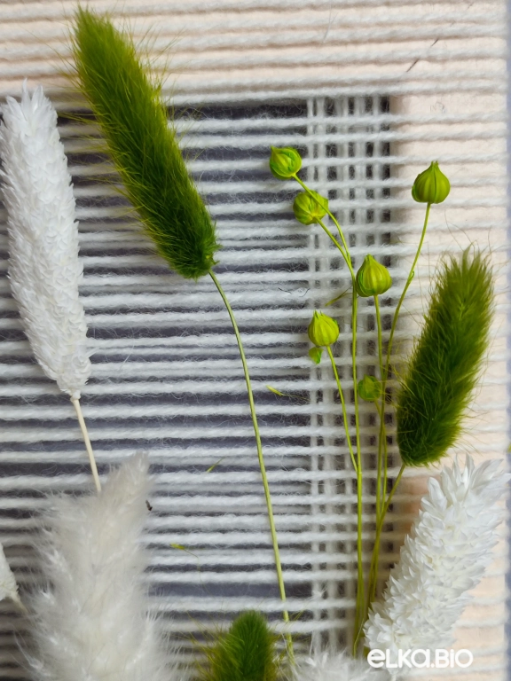 Панно на стену из белых и зеленых сухоцветов Б85-B108