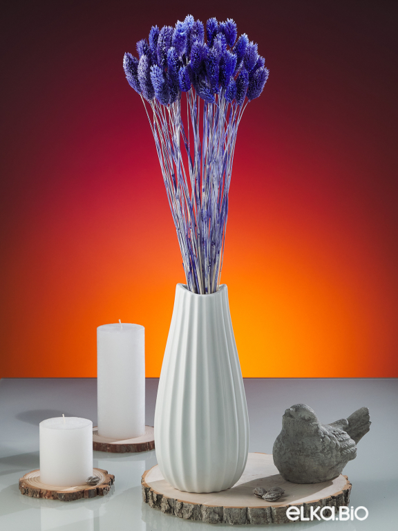 Фалярис синий (40шт) М114