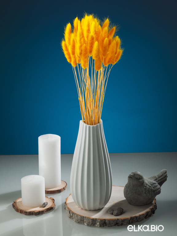 Лагурус тёмно-жёлтый высший сорт - 60 шт