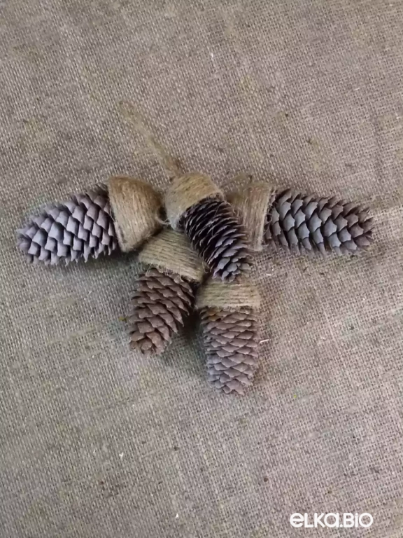 Декоративный набор из еловых шишек (5шт) Белый ангел А54-В41