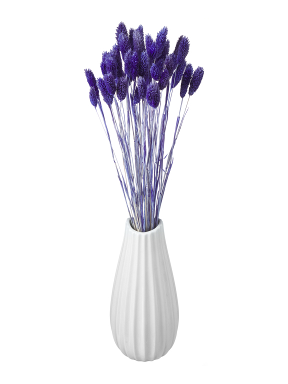 Фалярис синий (40шт) М114