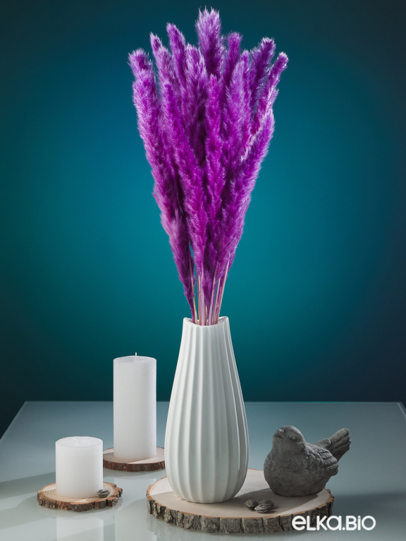 Трава сухоцвет пампас мини 15 шт. фиолетовый высший сорт