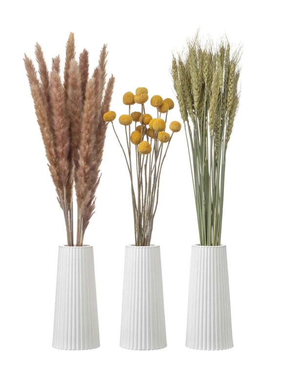 Натуральные сухоцветы для декора. Набор М066