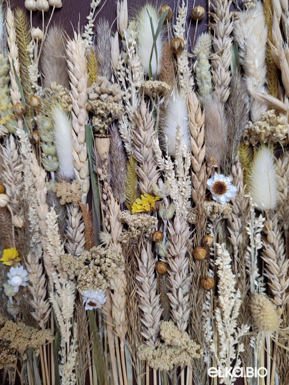 Панно из полевых цветов и пшеницы Т162-B102