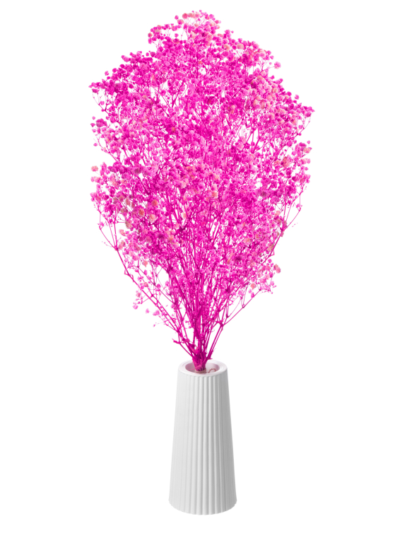 Гипсофила фуксия 140г. Высший сорт - стабилизированная М680