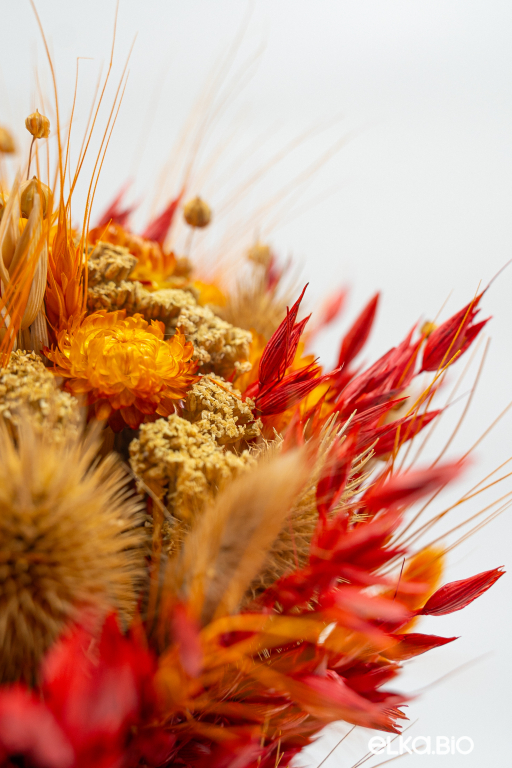 Букет из пшеницы, овса, гелихризума и лагуруса Т150-B104