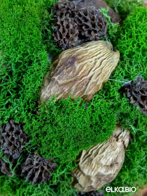 Декоративный шар из мха и декора Зеленый М7-В20