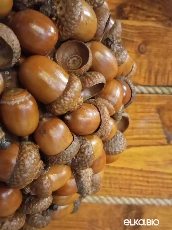 Декоративный шар из желудей красного дуба Желуди (большой) П45-В36