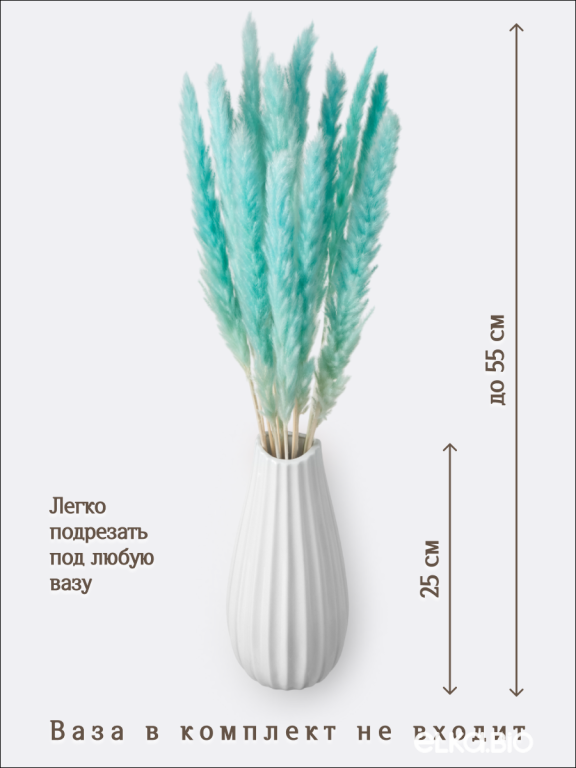 Пампас мини светло-бирюзовый 15 шт. Высший сорт. Высота 40-50 см. М034