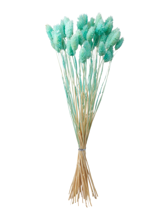 Фалярис светло-бирюзовый (40шт) М111 Фалярис светло-бирюзовый (40шт) М111