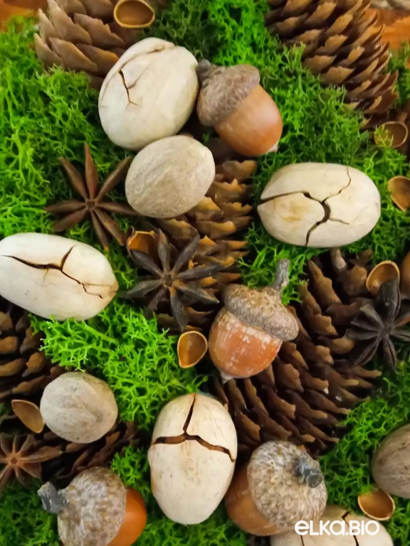 Новогодний венок из еловых шишек Еловая звезда Ю24-В47