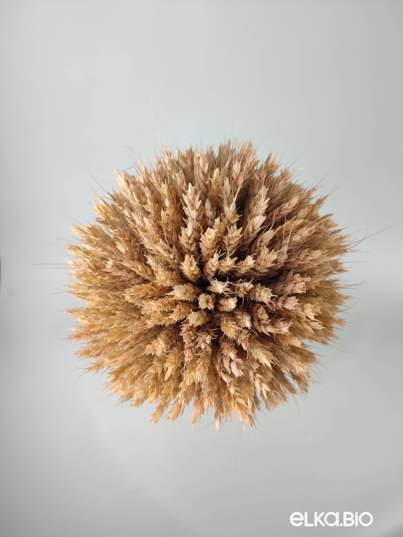 Декоративный сноп пшеницы Б91-B110