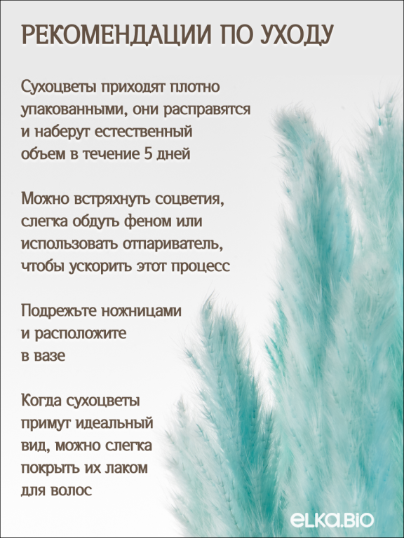 Пампас мини светло-бизюзовый 45 шт. Высший сорт М273