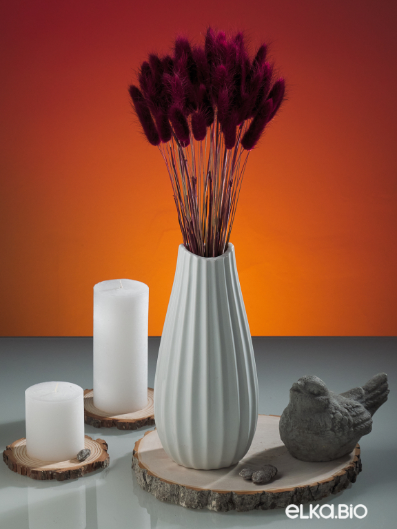 Лагурус бордовый марсала высший сорт - 60 шт