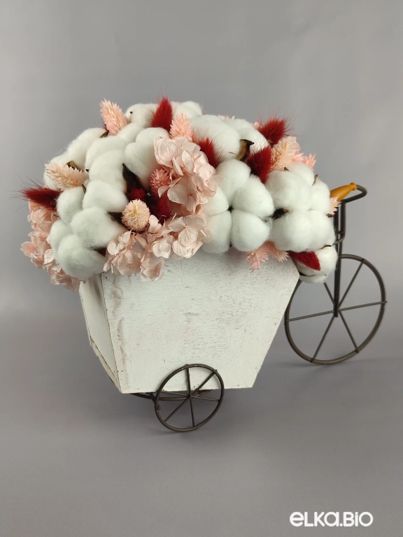 Велосипед с цветами лагуруса, фаляриса и цветками хлопка А99-B100