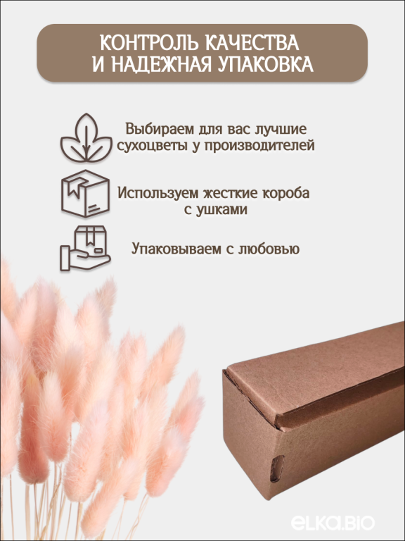 Лагурус светло-розовый 60 шт. Высший сорт. Высота 25-35 см. Высота 25-35 см М233