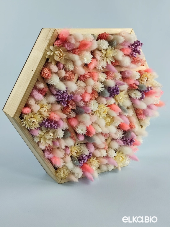 Композиция из лагуруса и фаляриса А130-B103