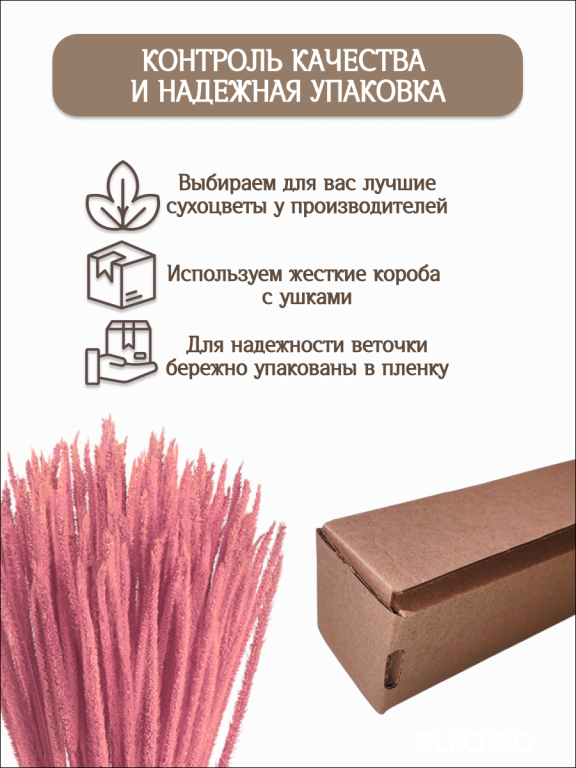 Алопекурус (тимофеевка) розовый 150 шт. Высший сорт - до 50 см  М704