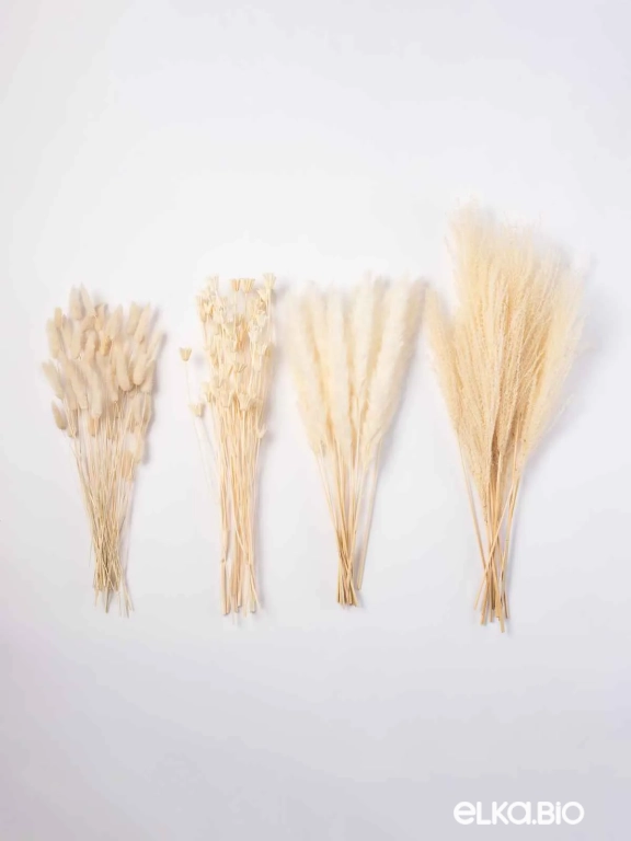 Сухоцветы для декора микс. Набор М073