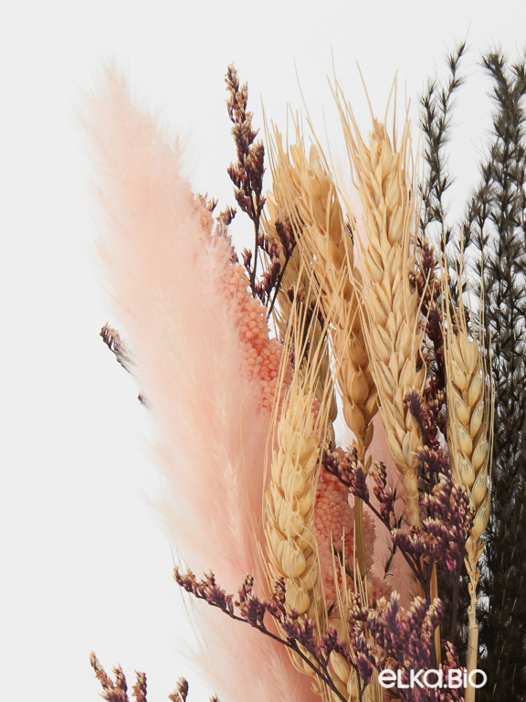 Набор натуральных сухоцветов М340